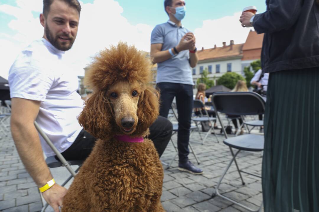 Laisvės partijos suvažiavimas Vilniuje