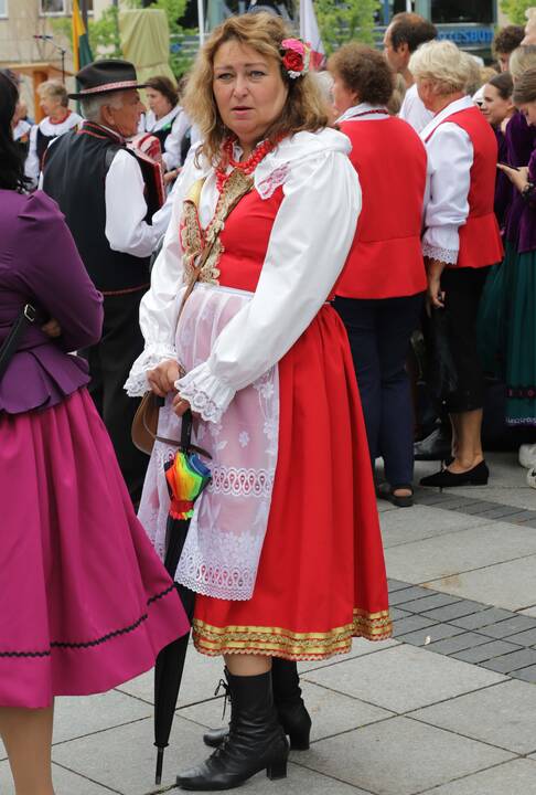 Protestas prie Vyriausybės prieš migrantus