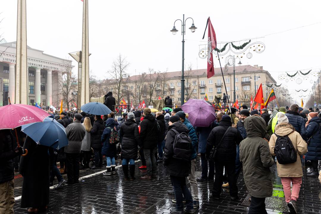 Protestas prie Seimo Sausio 13-ąją