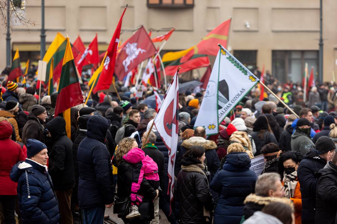 Protestas prie Seimo Sausio 13-ąją