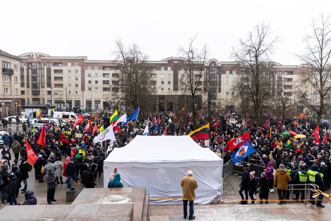 Protestas prie Seimo Sausio 13-ąją