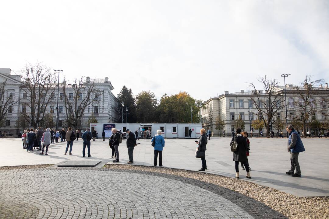 Išankstinis balsavimas Lukiškių aikštėje