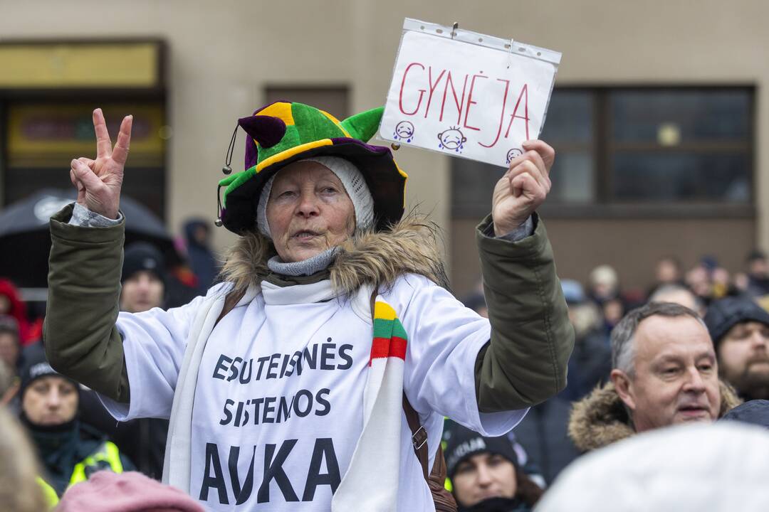 Protestas prie Seimo Sausio 13-ąją