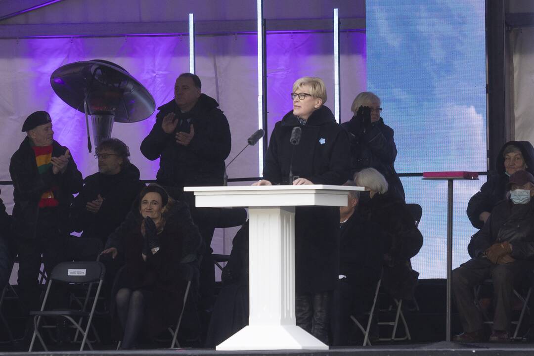 Protestas prie Seimo Sausio 13-ąją