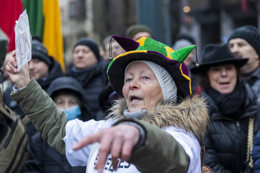 Protestas prie Seimo Sausio 13-ąją