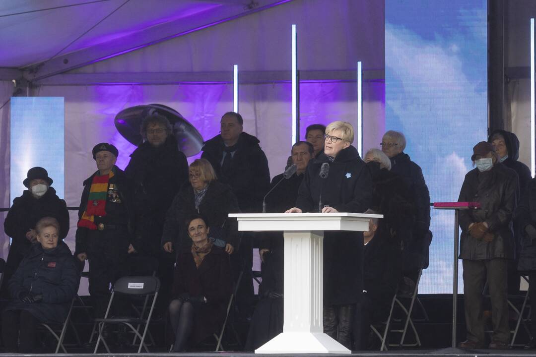 Protestas prie Seimo Sausio 13-ąją