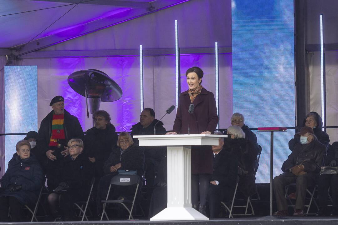 Protestas prie Seimo Sausio 13-ąją