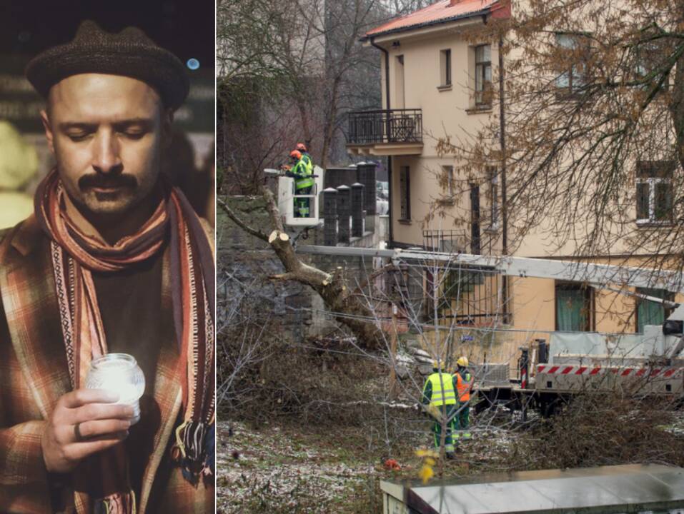 Akcija: J.Didžiulis kviečia susiburti visus, kurie jaučia skausmą dėl to, kad valdžia laidoja ne tik medžius, bet ir istoriją, pasitikėjimą.