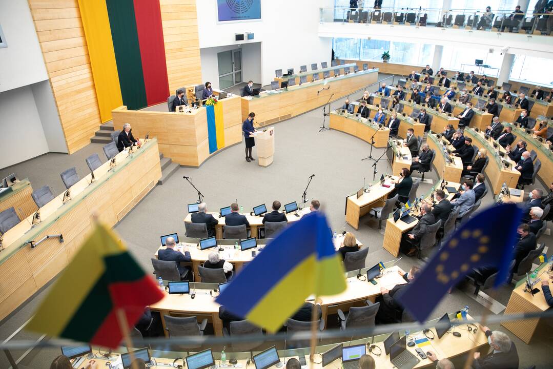 Seimas ragina paskelbti neskraidymo zoną virš Ukrainos