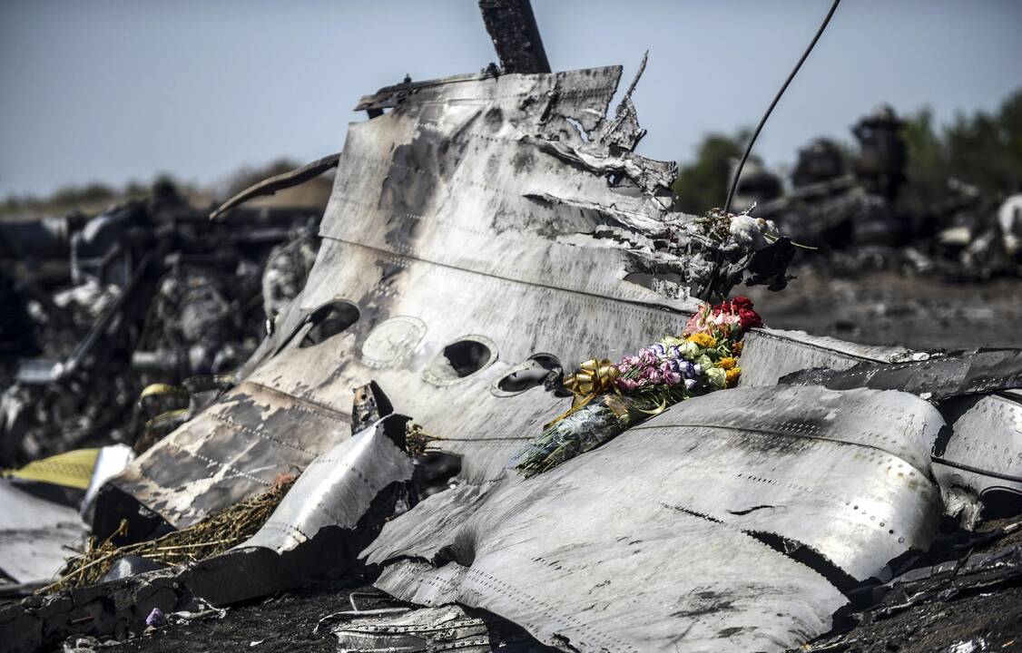 Rusija kratosi atsakomybės dėl numušto lėktuvo virš Ukrainos