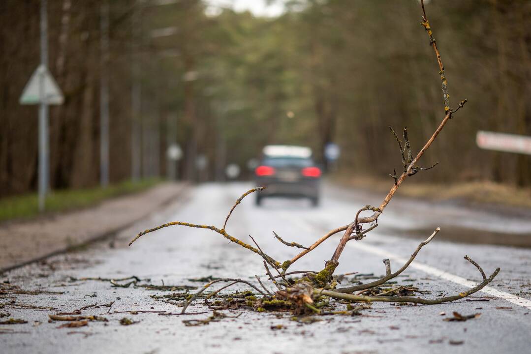 Trečiadienį kai kuriose Lietuvos apskrityse prognozuojami pavojingi reiškiniai