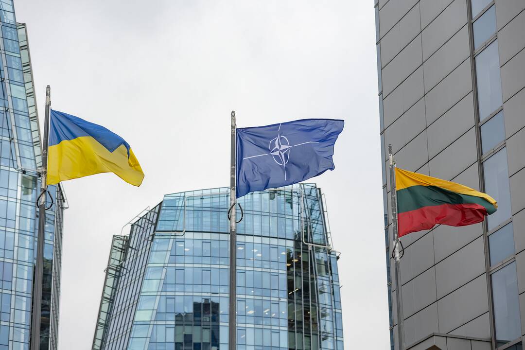 Kariuomenės analitikų radare – dezinformacija apie NATO susitikimą Vilniuje