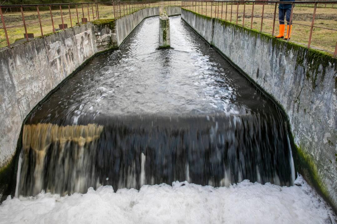 Seime – nesutarimai dėl pavojingų teršalų išleidimo į aplinką