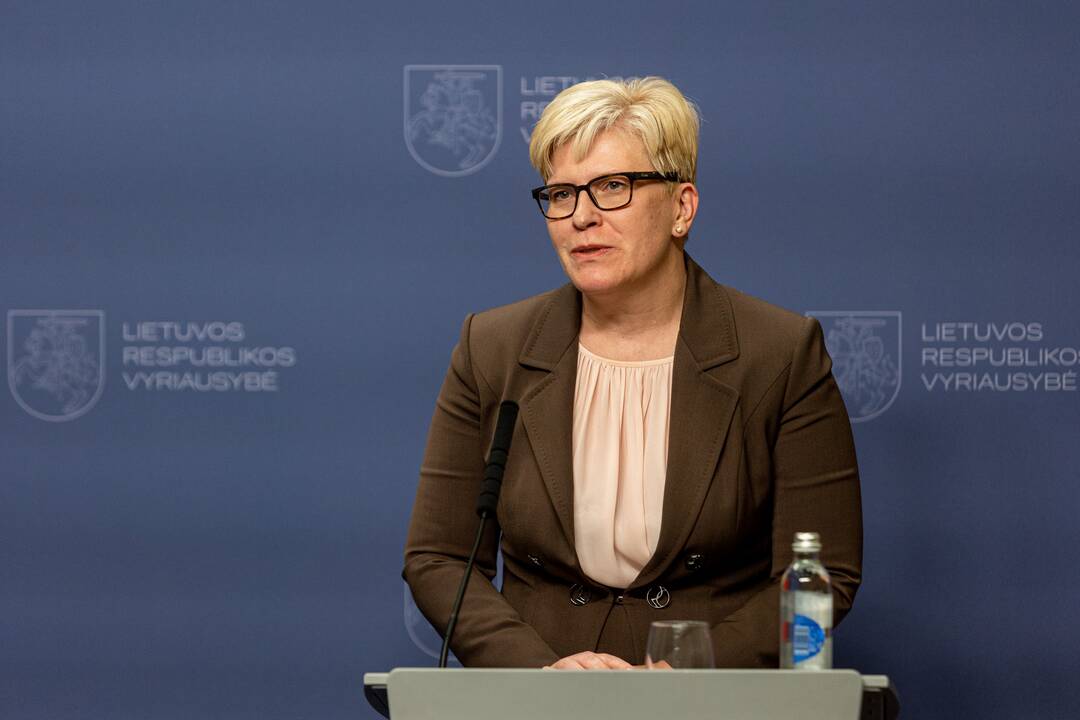Siekis: nors dabartinis prezidentūros šeimininkas – aiškus rinkimų favoritas, jau rikiuojasi būrys kandidatų, galinčių sumaišyti kortas.