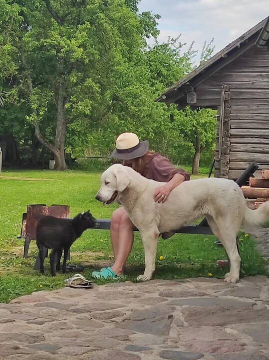 Rezultatas: D. ir R. Belžakams teko gerokai paplušėti, kol pavertė sodybą tinkama gyventi.