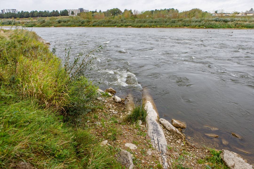 Saugumas: nuogastaujama, kad šie vamzdžiai kelia grėsmę, nes bet kada gali būti pažeisti.