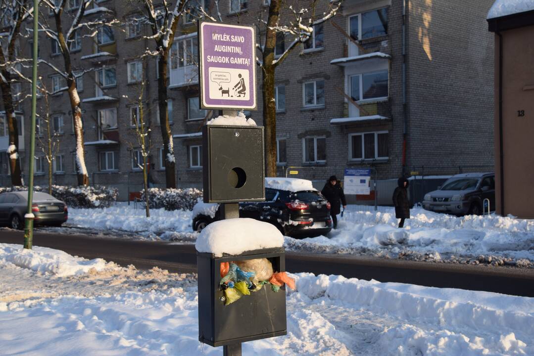 Mįslė: gyventojai spėlioja – ekskrementams skirtos šiukšlinės prisipildo per parą ar jos tiesiog nebetuštinamos?