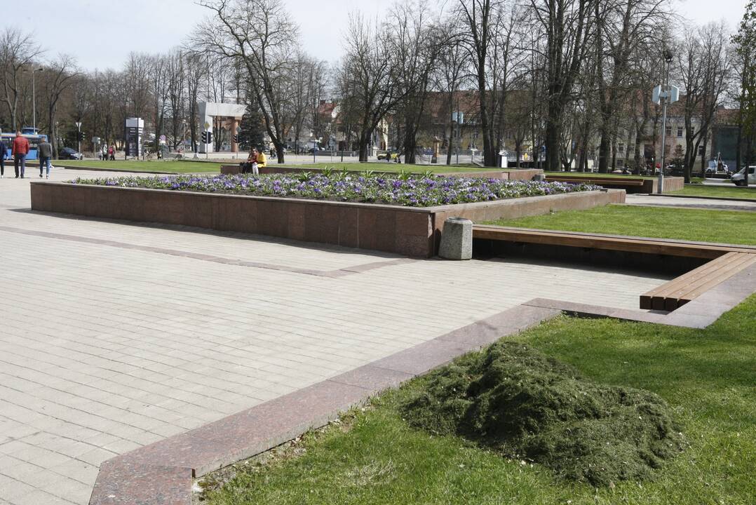 Misija: meras A. Vaitkus teigia siekiąs, kad Klaipėda atgimtų, klestėtų ir kad kiekvienam žmogui gyventi čia būtų patogu.