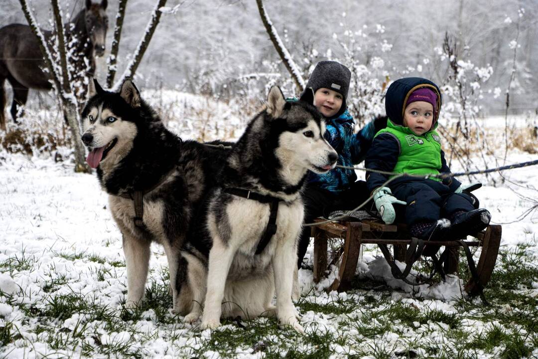 Pasirinkimas: mamos Ramintos įsitikinimu, jos vaikams miestas ir kaimas yra du skirtingi pasauliai, jiems įdomu abiejuose.