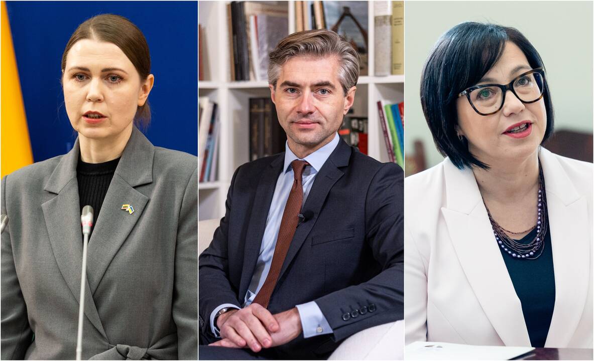 G. Palucko, S. Skvernelio ir R. Žemaitaičio partijų koalicijos Vyriausybė žada grąžinti valstybę į darnaus ir tvaraus vystymosi vėžes, lyg būtume iš jų išklydę.