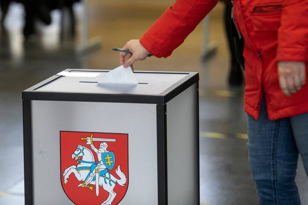 Šešiolikmečio rinkėjo portretas: patiklūs, bet reiklūs?