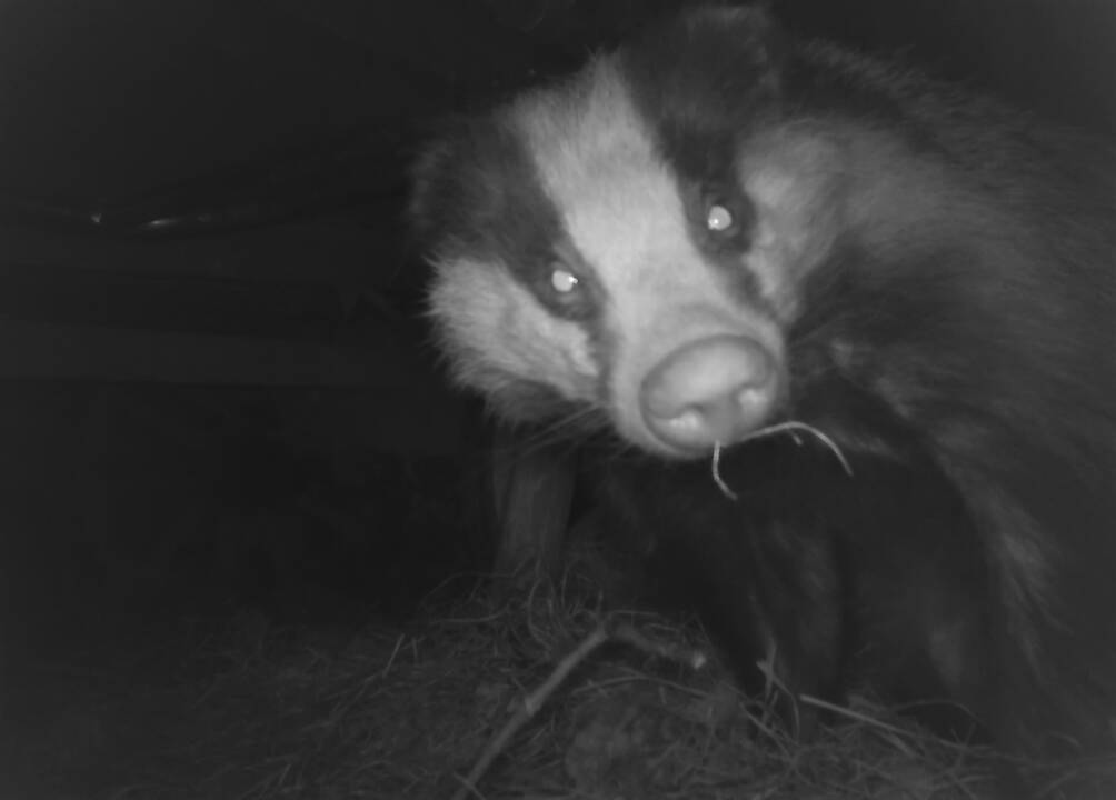 Pomėgis: įsigijusi sodybą K. Rudokaitė filmuoja ir fotografuoja  gyvąją gamtą. 