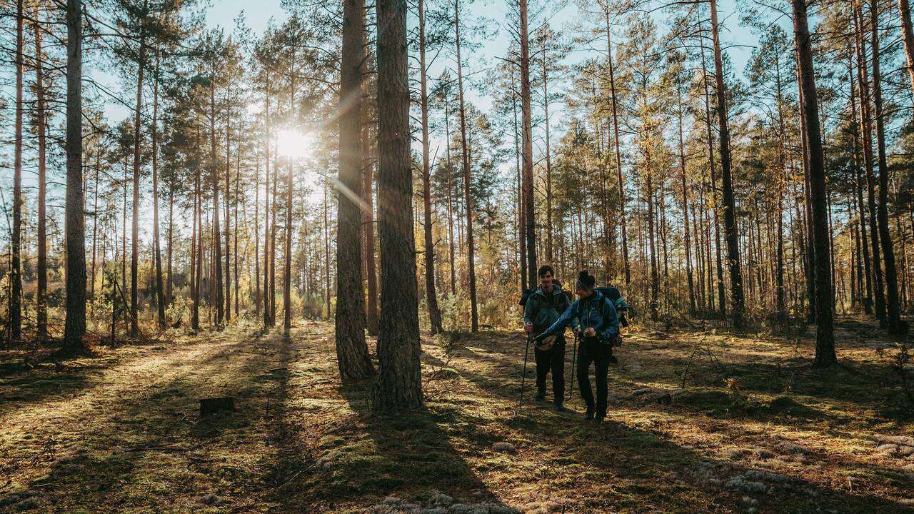 Įsimylėjęs: „Daug kam Dzūkija asocijuojasi su grybais, tačiau man šis kraštas – vandens turizmo perlas“, – sako P. Gataveckas, kurį vietiniai vadina tiesiog baidarininku Pranu.