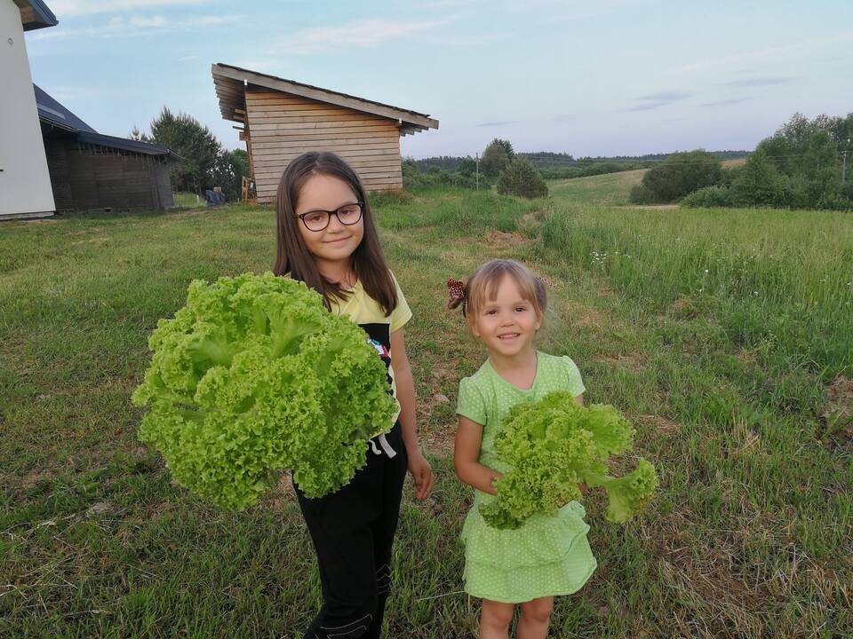 Pasikiškiakopūsteliaudama: kadangi rastų ragų vyras Sigitai neduoda, tenka eiti į mišką ir ieškoti jų pačiai. Laiminga akimirka su radiniu. 