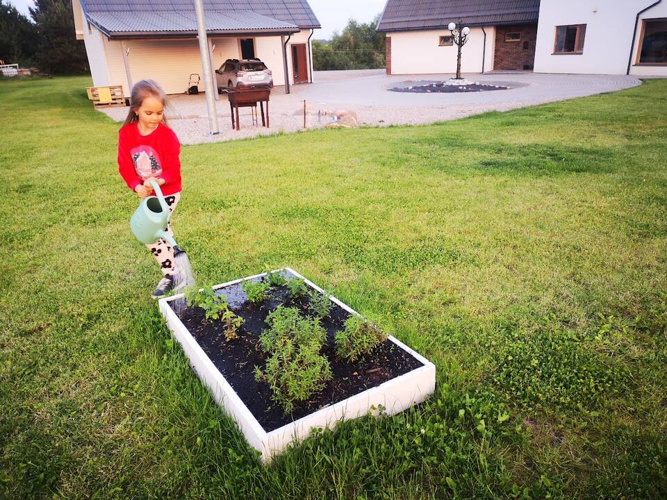 Pasikiškiakopūsteliaudama: kadangi rastų ragų vyras Sigitai neduoda, tenka eiti į mišką ir ieškoti jų pačiai. Laiminga akimirka su radiniu. 