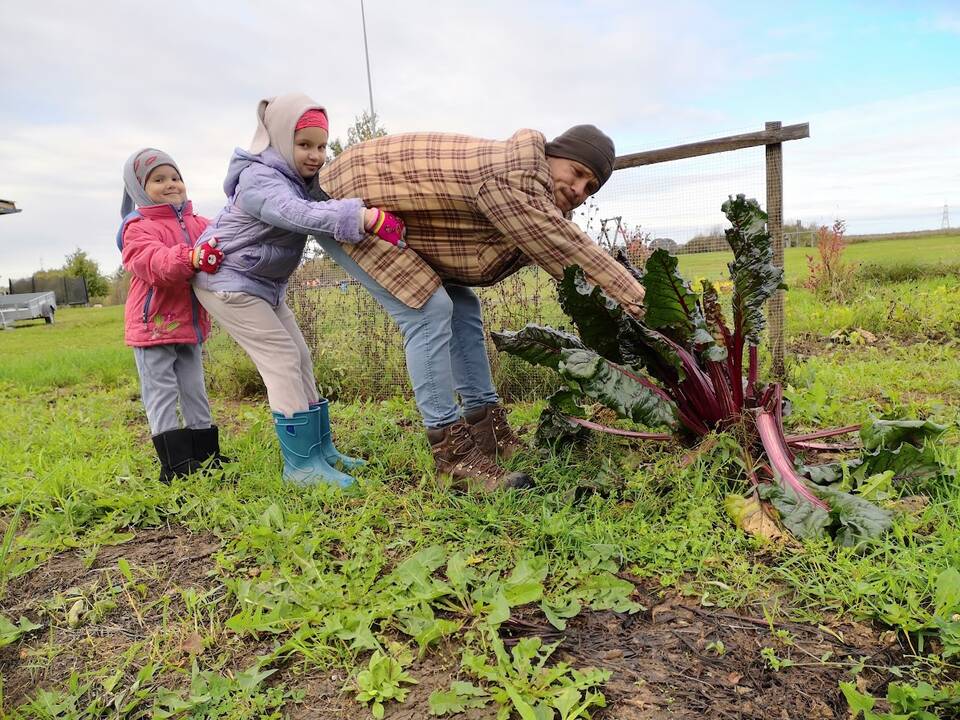 Pasikiškiakopūsteliaudama: kadangi rastų ragų vyras Sigitai neduoda, tenka eiti į mišką ir ieškoti jų pačiai. Laiminga akimirka su radiniu. 