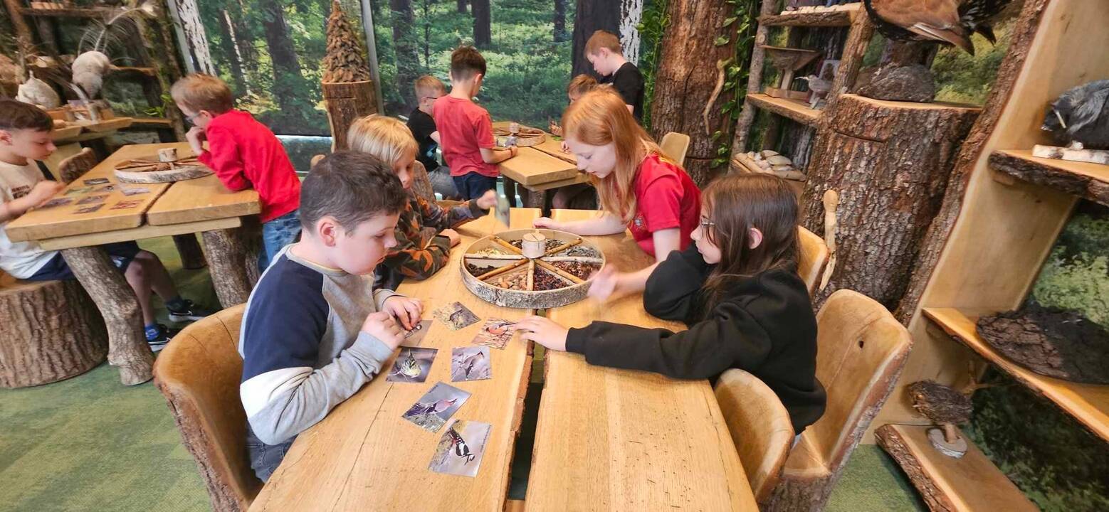 Patrauklumas: vaikai mėgsta stovyklas, garantuojančias užimtumą gamtoje.