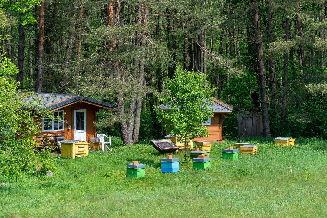 Galia: R. Žukauskienė tiki, kad augalai padeda įveikti kūno negalavimus ir nuvaikyti blogį