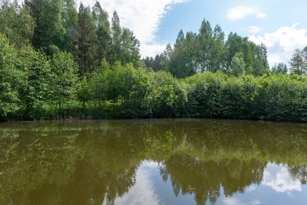 Galia: R. Žukauskienė tiki, kad augalai padeda įveikti kūno negalavimus ir nuvaikyti blogį