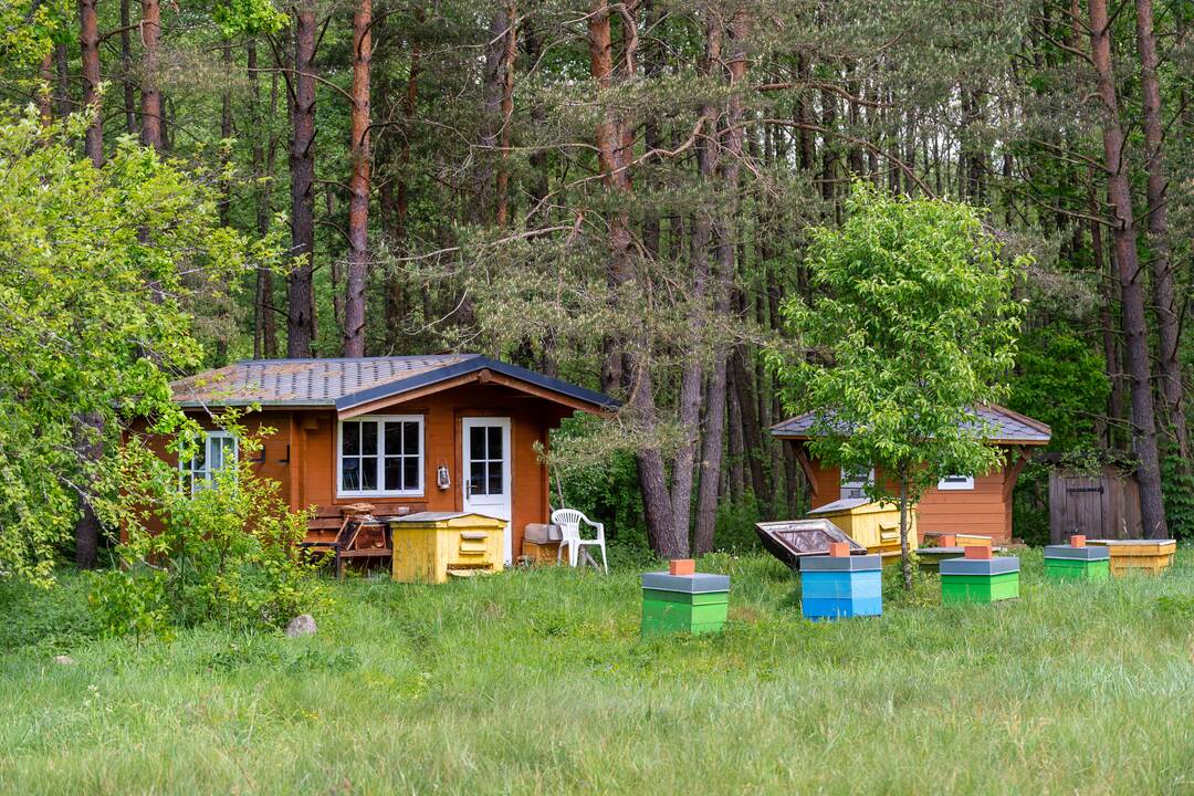 Galia: R. Žukauskienė tiki, kad augalai padeda įveikti kūno negalavimus ir nuvaikyti blogį