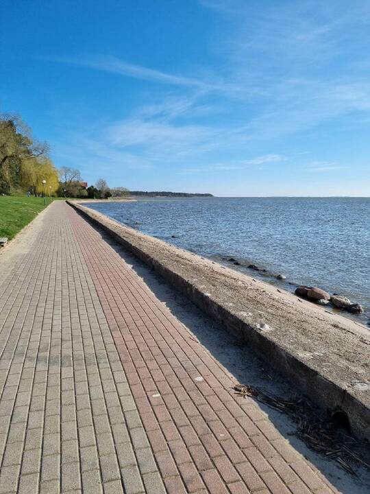Faktas: Nidoje kiekvienas kvadratinis metras, kad ir sukežusio sandėliuko, yra aukso vetės.