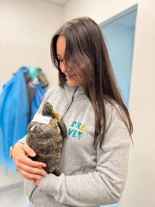 Išskirtiniai: I. Plungytei tenka gydyti net zoologijos sodo gyvūnus. Ant jos rankų – išskirtinė beždžionėlė paprastoji marmozetė.