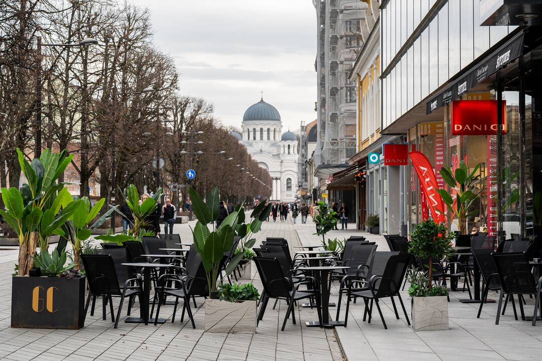 Sezonas: Laisvės alėjoje jau rikiuojami staliukai.