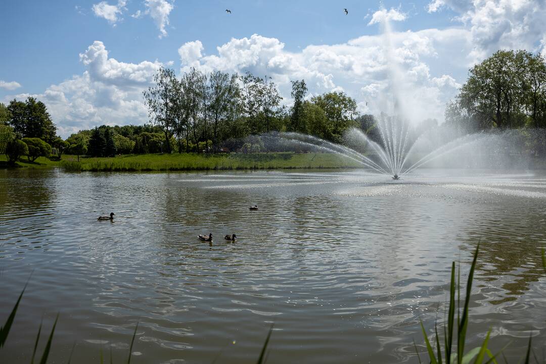 Akcentai: Kalniečių parke atsiras 20 skulptūrų.