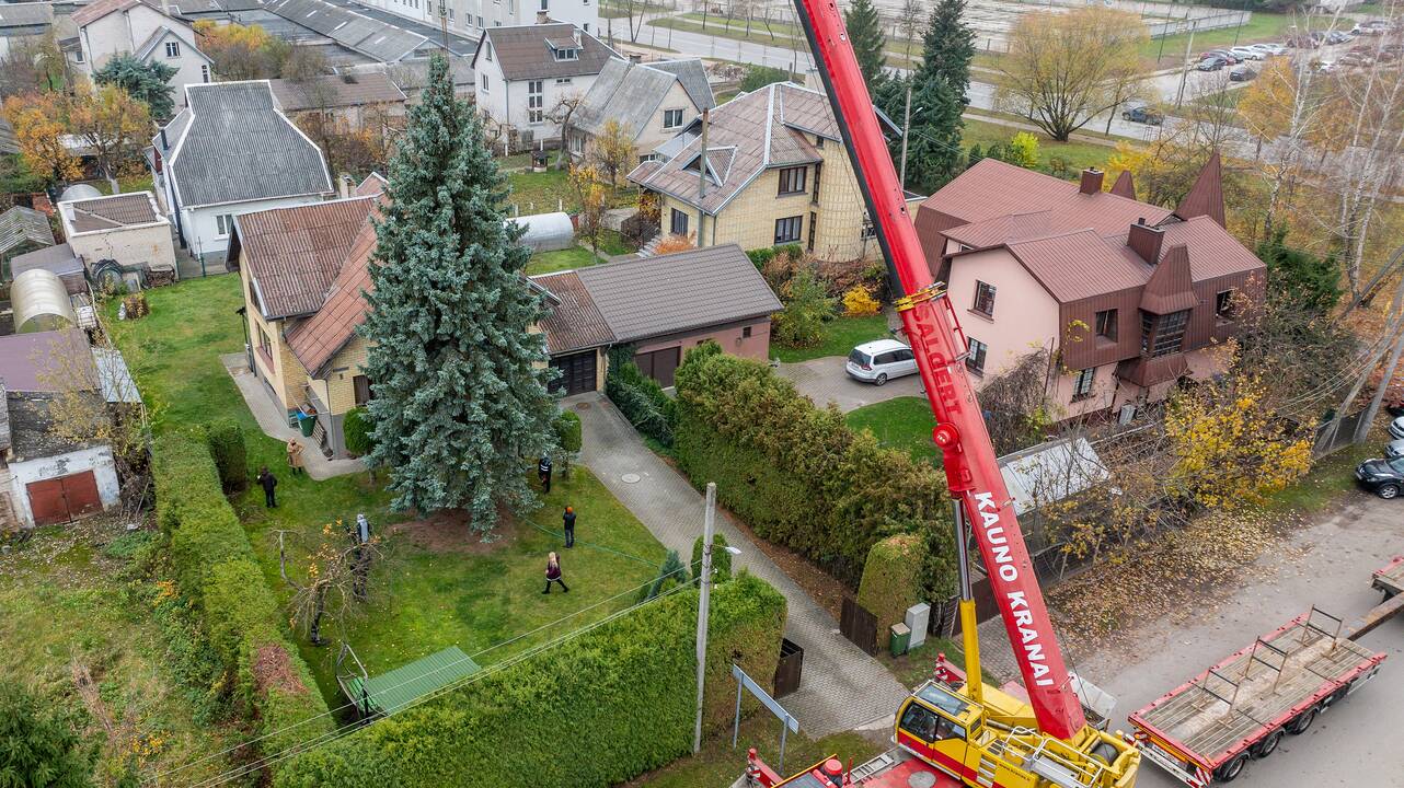 Atvyko: Vienybės aikštėje greitai prasidės eglutės puošimo darbai.