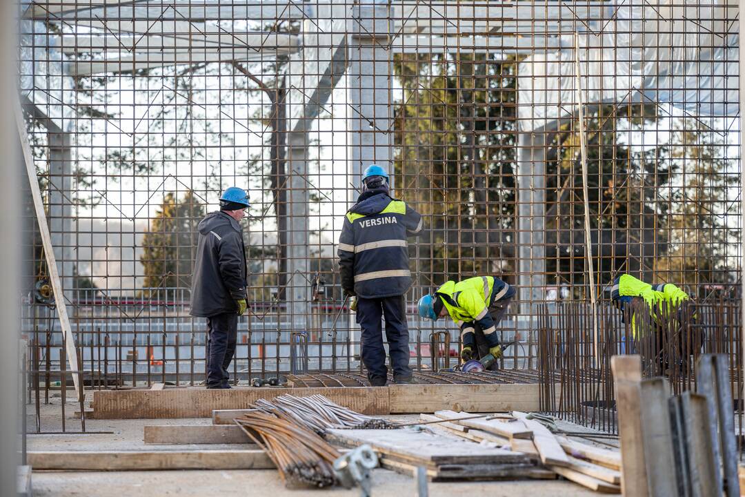  Jungtis: naujas tiltas per Nemuną sujungs salą ir Žemąją Fredą.