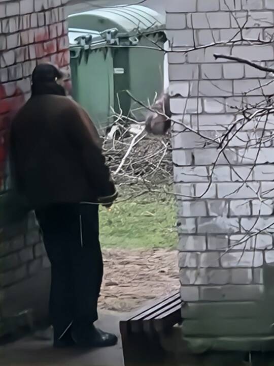 Informacija: ne vienas ligoninėje gydytas vaikas pasakojo, kad mokykloje galima įsigyti įvairiausių kvaišalų.
