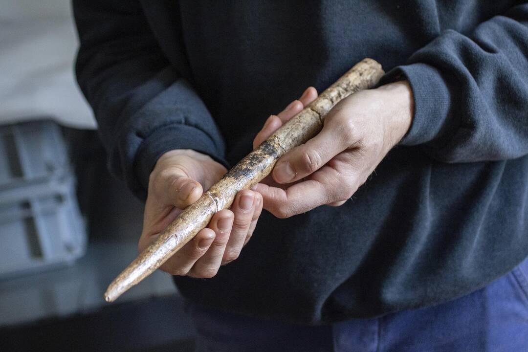 Atradimas: mokslininkai nustatė, kad seniausi žinomi įrankiai iš banginių kaulų buvo pagaminti prieš 20 tūkst. metų.