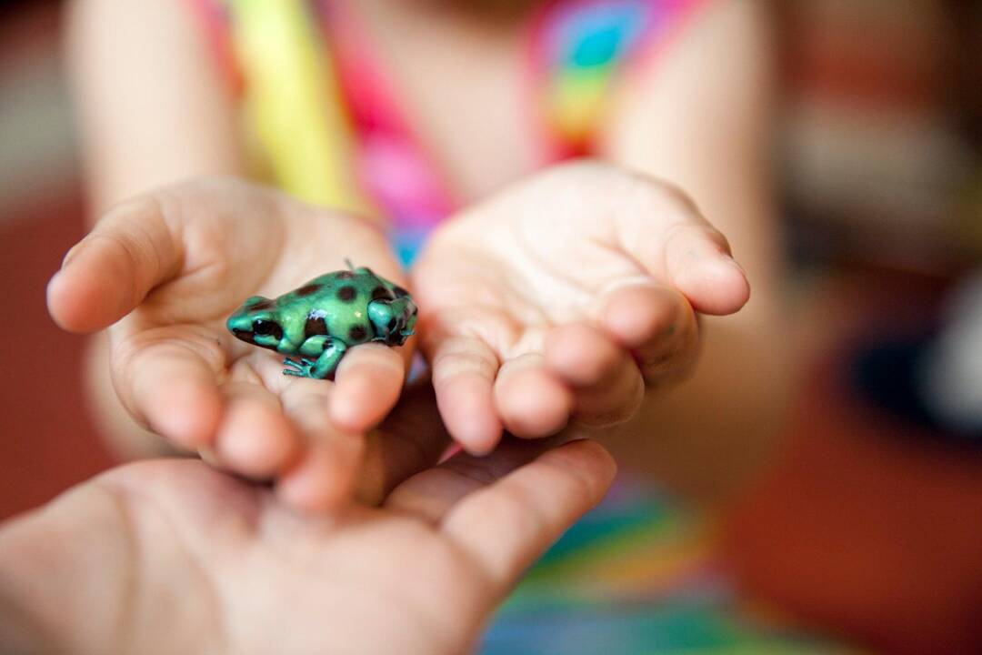 Realybė: „Taip jau susiklostė, kad mano gyvenimas visą laiką susijęs su gamta“, – sako fotografė J. Pacholčišina.