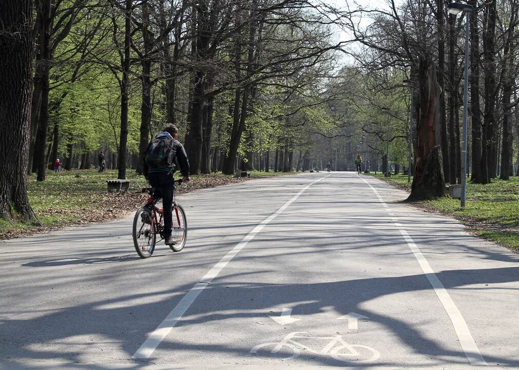Tyrimai: sveikiems žmonėms fizinio aktyvumo lauke nauda atsveria galimas oro užterštumo pasekmes sveikatai.