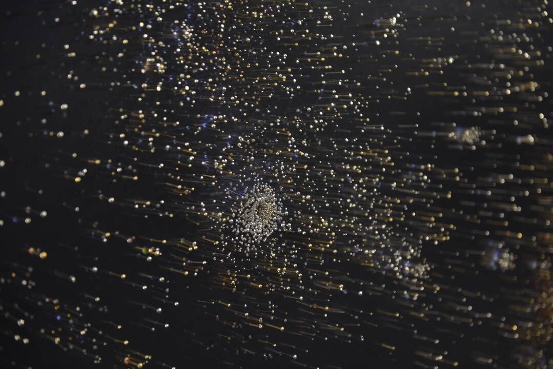 Mi­gue­lis Roths­chil­das. Insomnia su vinimis.