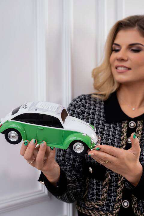 Domėjimasis: E. Ruibienė ne tik renka automobilių modeliukus, bet ir gali papasakoti viską apie šių autombilių markes.