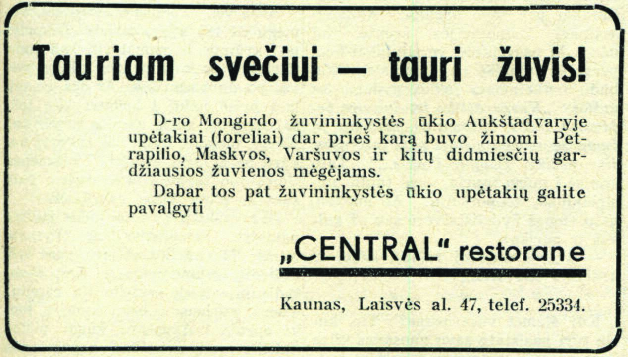 Kaunas, Laisvės al. 83 – 85. Optika. „Kauno svetainė“. 