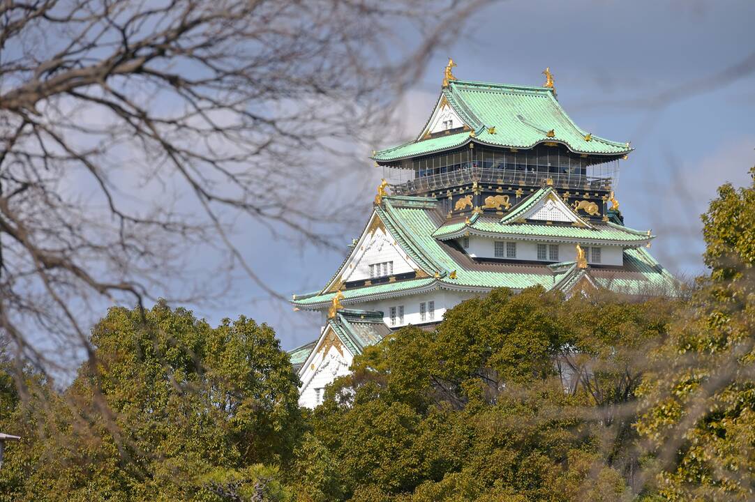 Tandemas: F. ir A. Piliponiai mielai sugrįžtų į Japoniją – dviejų savaičių čia buvo per mažai.
