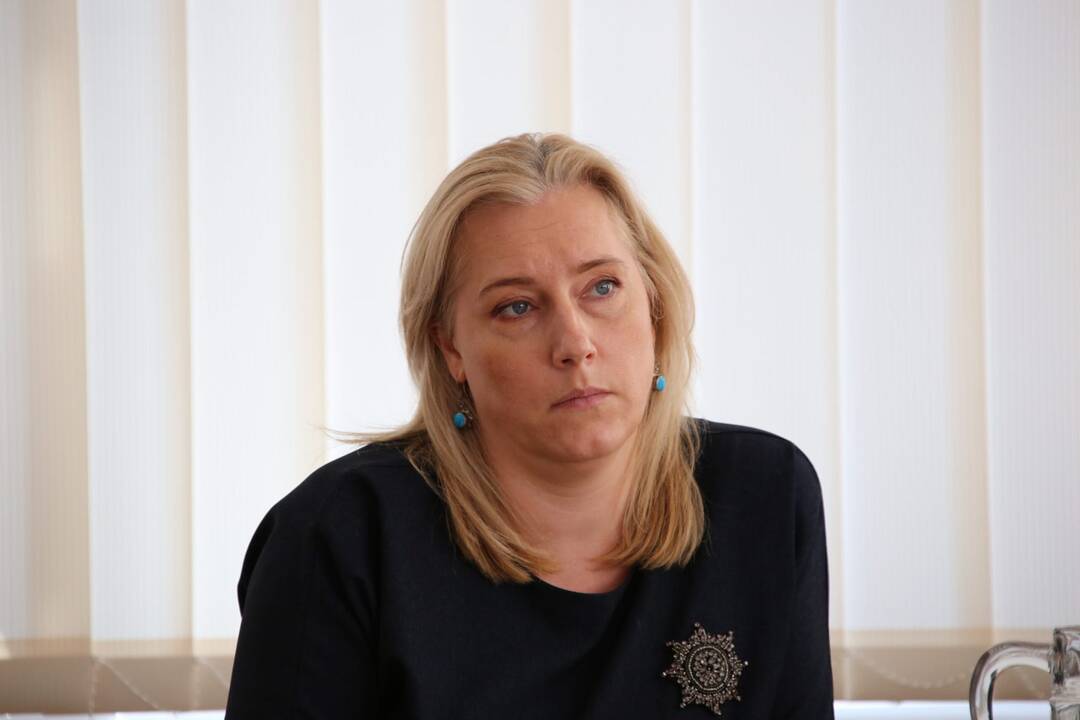 Panašumas: tekselių veislės avys labai panašios į šunis, jų įspūdinga išvaizda žavisi ne vienas gyvūnų mėgėjas.