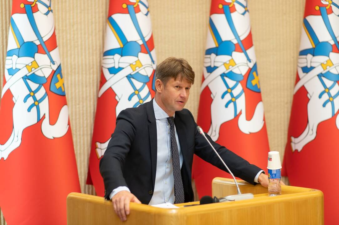 Kai kas kritikuoja, sakydami, kad negerai, jog klausimas apie pilietybę būtų reglamentuojamas konstituciniame įstatyme, o ne pačioje Konstitucijoje.